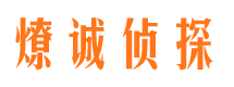 泉山市侦探调查公司